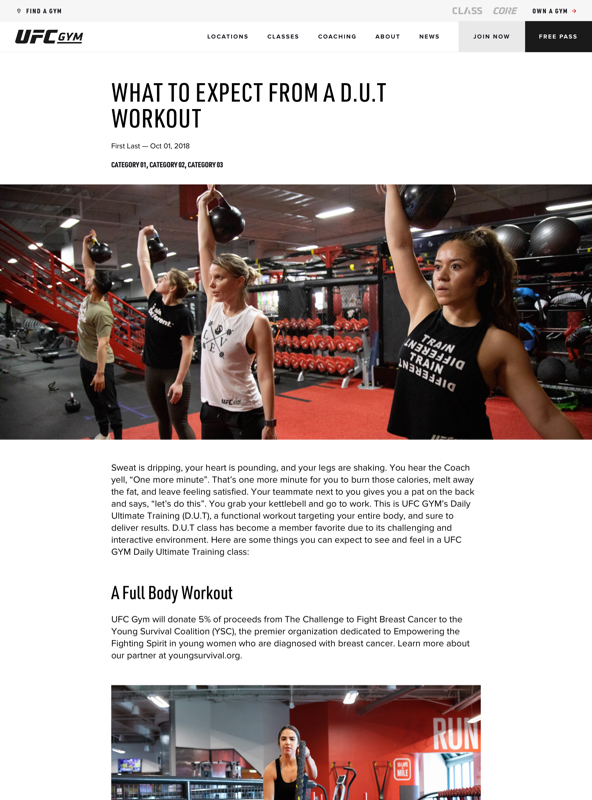 Team Fighter, Gym Page